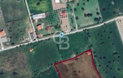 Urla İçmeler'de 225m² Hisseli Tarla - Yatırım Fırsatı