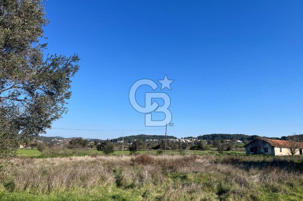 Urla İçmeler'de 225m² Hisseli Tarla - Yatırım Fırsatı