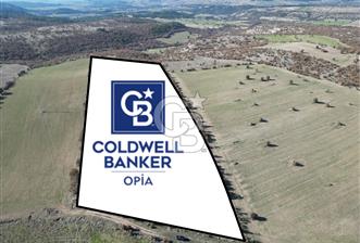 CB OPİADAN UŞAK BEYLERHAN KÖYÜNDE YATIRIMLIK TARLA - 4 - 332493