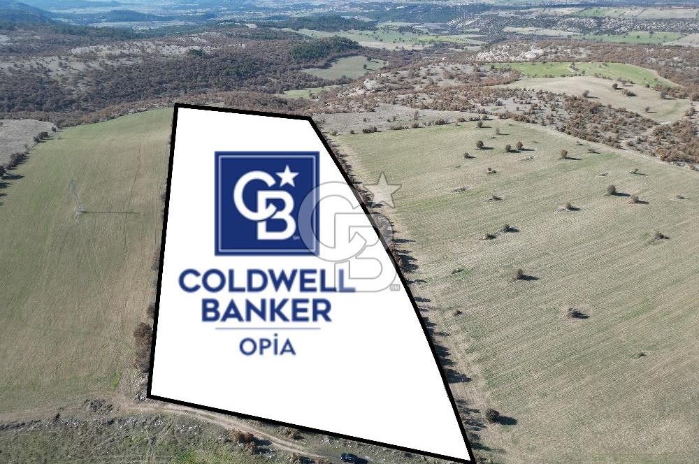 CB OPİADAN UŞAK BEYLERHAN KÖYÜNDE YATIRIMLIK TARLA