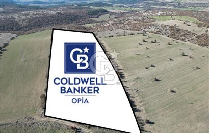 CB OPİADAN UŞAK BEYLERHAN KÖYÜNDE YATIRIMLIK TARLA