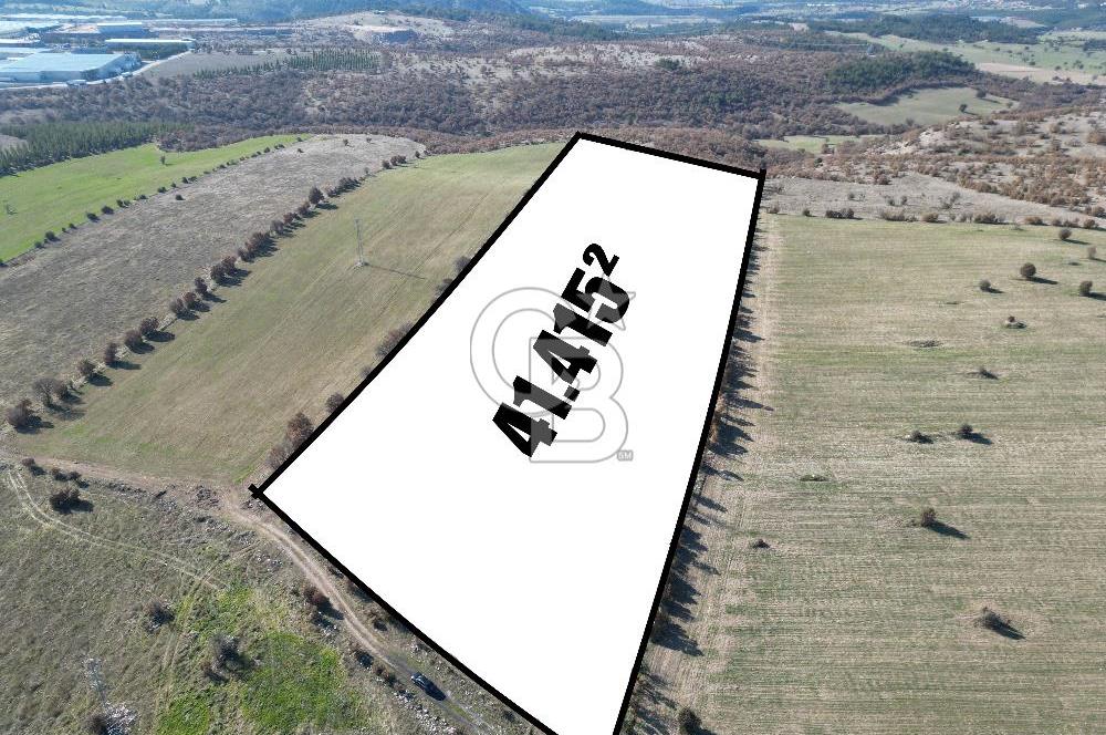 CB OPİADAN UŞAK BEYLERHAN KÖYÜNDE YATIRIMLIK TARLA