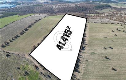 CB OPİADAN UŞAK BEYLERHAN KÖYÜNDE YATIRIMLIK TARLA