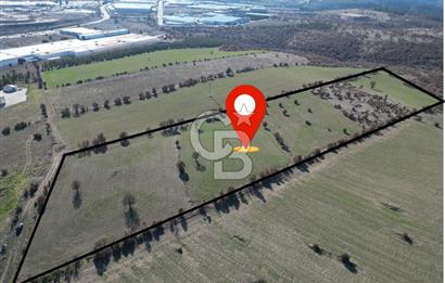 CB OPİADAN UŞAK BEYLERHAN KÖYÜNDE YATIRIMLIK TARLA