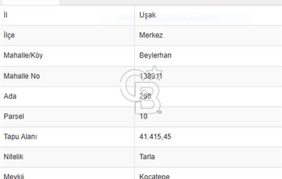 CB OPİADAN UŞAK BEYLERHAN KÖYÜNDE YATIRIMLIK TARLA