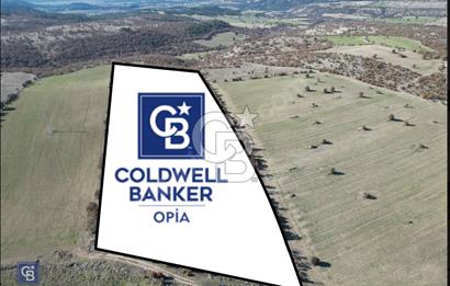 CB OPİADAN UŞAK BEYLERHAN KÖYÜNDE YATIRIMLIK TARLA