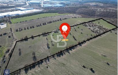 CB OPİADAN UŞAK BEYLERHAN KÖYÜNDE YATIRIMLIK TARLA