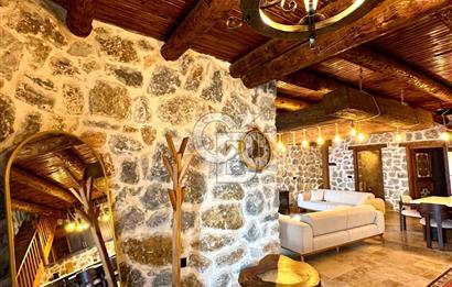 BURSA İZNİK SATILI LÜKS VİLLA