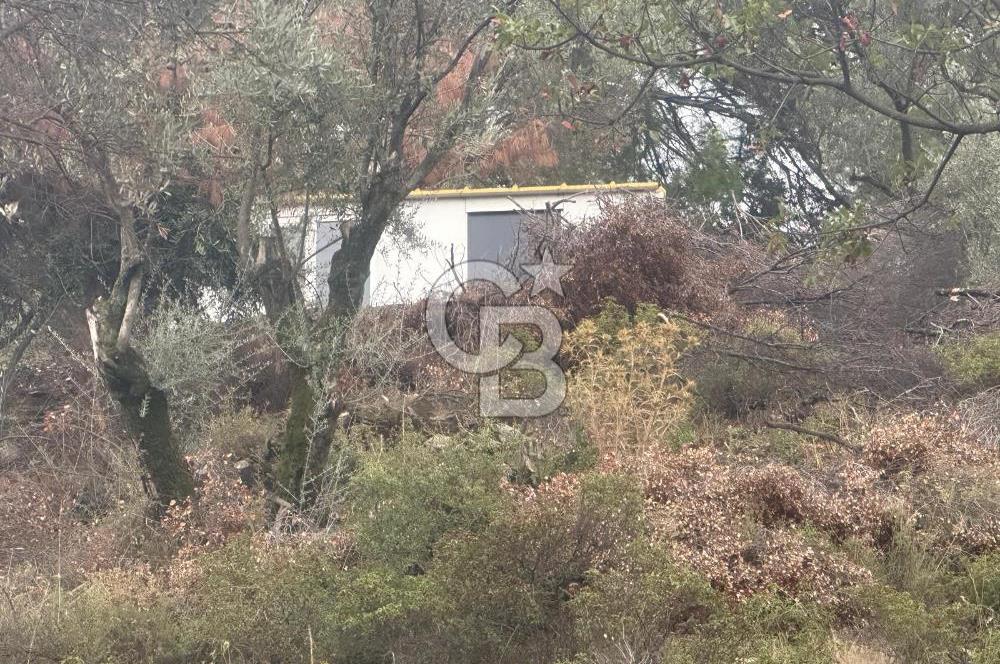 İzmir Toscana sı Gödence köyünde kıymetli yer