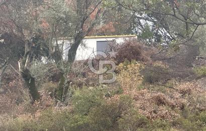 İzmir Toscana sı Gödence köyünde kıymetli yer