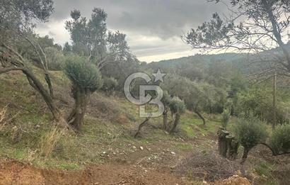 İzmir Toscana sı Gödence köyünde kıymetli yer