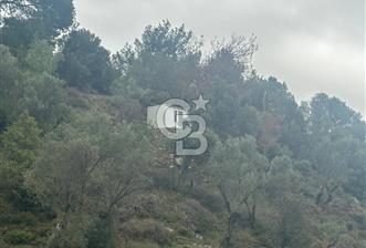 İzmir Toscana sı Gödence köyünde kıymetli yer - 2 - 332515