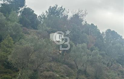 İzmir Toscana sı Gödence köyünde kıymetli yer