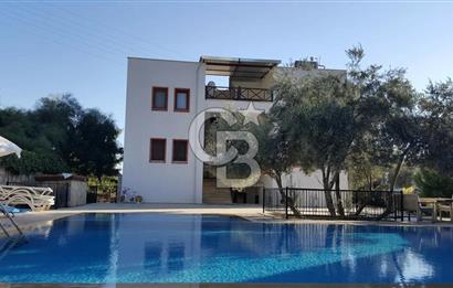 1298039779 Kiralık Bodrum Merkez 2+1 Ortakat Daire