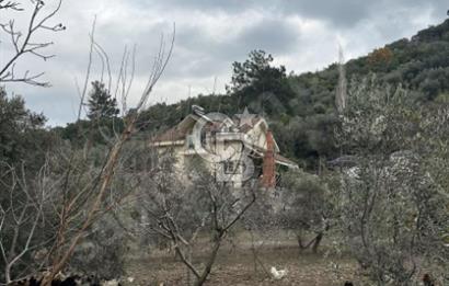 İZMİR KEMALPAŞA ÇINARKÖYDE 1.730 M2 İÇİNDE SATILIK MÜSTAKİL EV