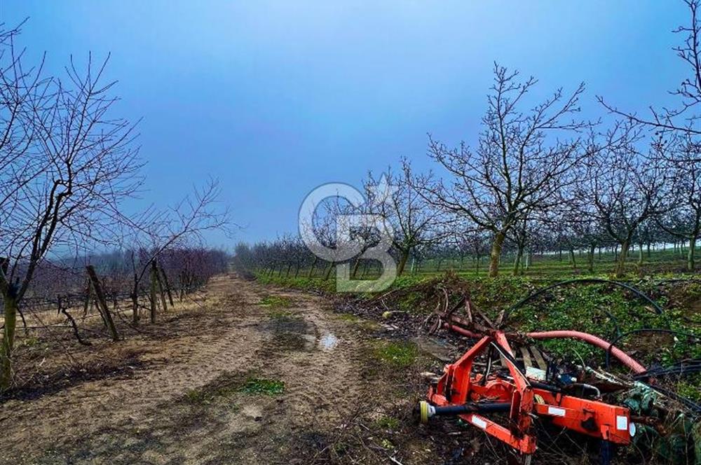 TEKİRDAĞ SÜLEYMANPAŞA KARACAKILAVUZ'DA YATIRIMLIK TARLA