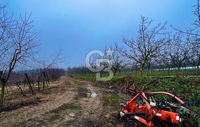 TEKİRDAĞ SÜLEYMANPAŞA KARACAKILAVUZ'DA YATIRIMLIK TARLA
