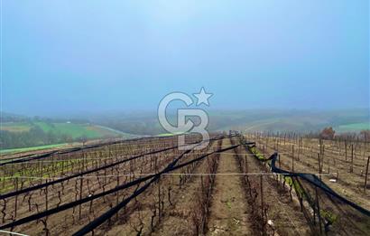 TEKİRDAĞ SÜLEYMANPAŞA KARACAKILAVUZ'DA YATIRIMLIK TARLA
