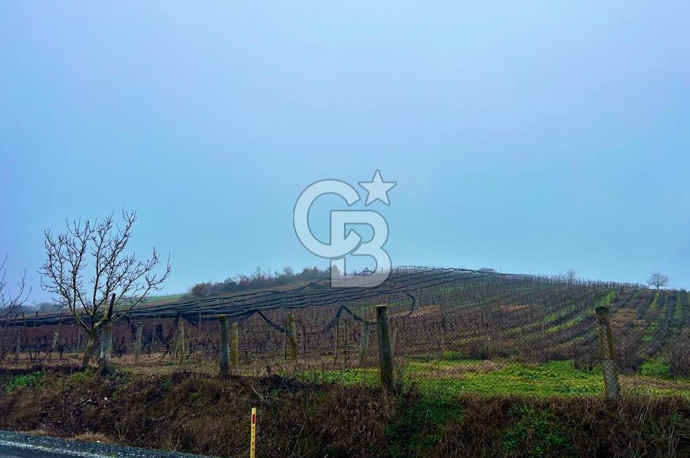 TEKİRDAĞ SÜLEYMANPAŞA KARACAKILAVUZ'DA YATIRIMLIK TARLA