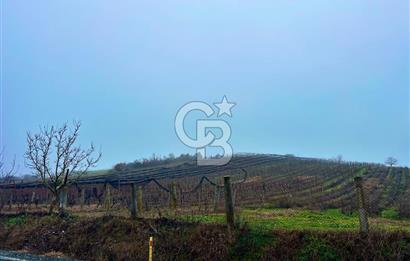 TEKİRDAĞ SÜLEYMANPAŞA KARACAKILAVUZ'DA YATIRIMLIK TARLA