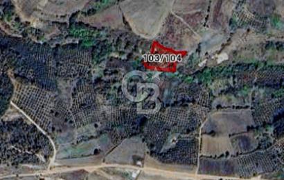 KANDIRA ELMACIK SATILIK TARLA