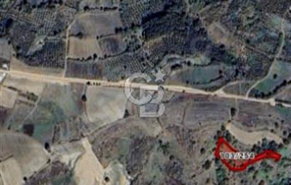 KANDIRA ELMACIK SATILIK TARLA