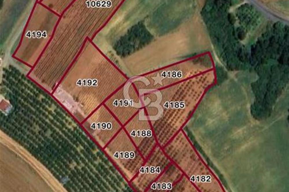 TEKİRDAĞ SÜLEYMANPAŞA KARACAKILAVUZ'DA YATIRIMLIK TARLA