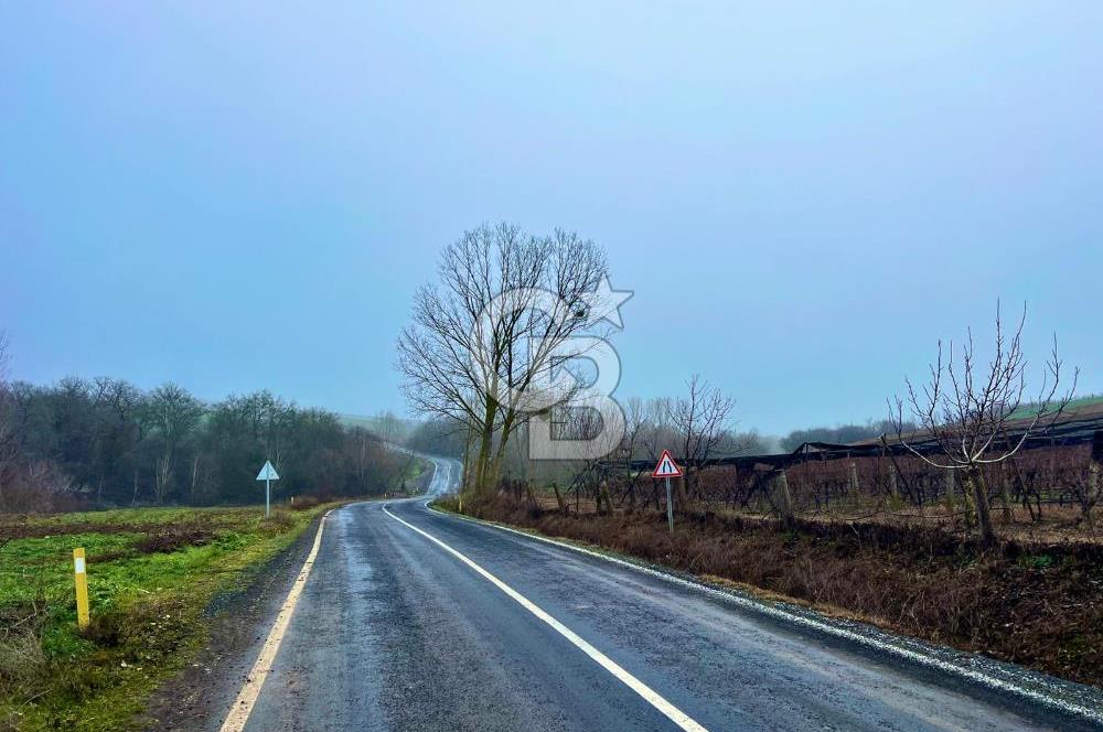 TEKİRDAĞ SÜLEYMANPAŞA KARACAKILAVUZ'DA YATIRIMLIK TARLA