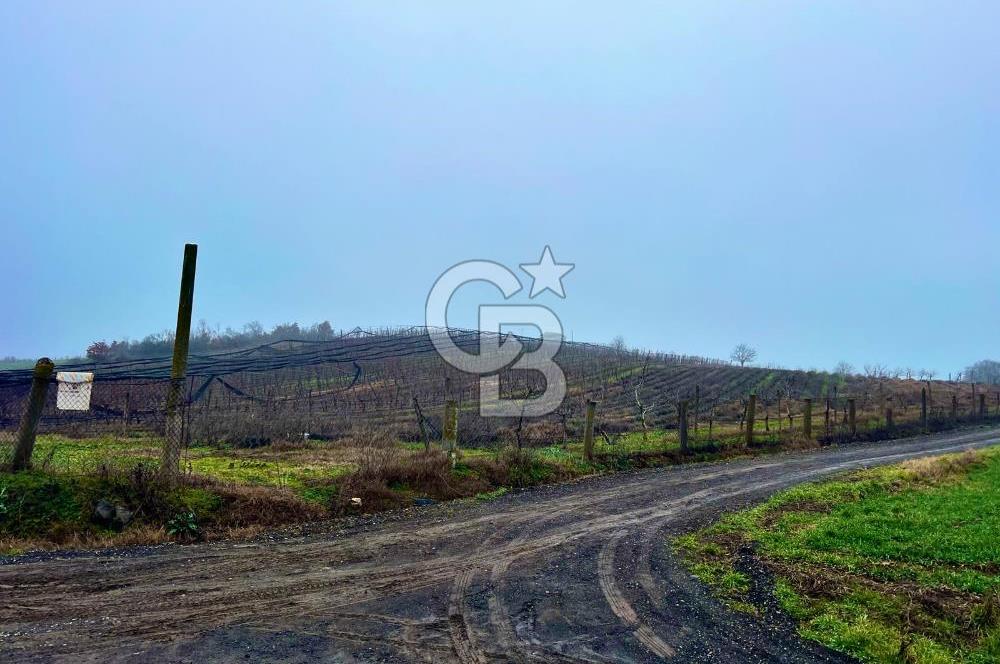 TEKİRDAĞ SÜLEYMANPAŞA KARACAKILAVUZ'DA YATIRIMLIK TARLA