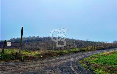 TEKİRDAĞ SÜLEYMANPAŞA KARACAKILAVUZ'DA YATIRIMLIK TARLA