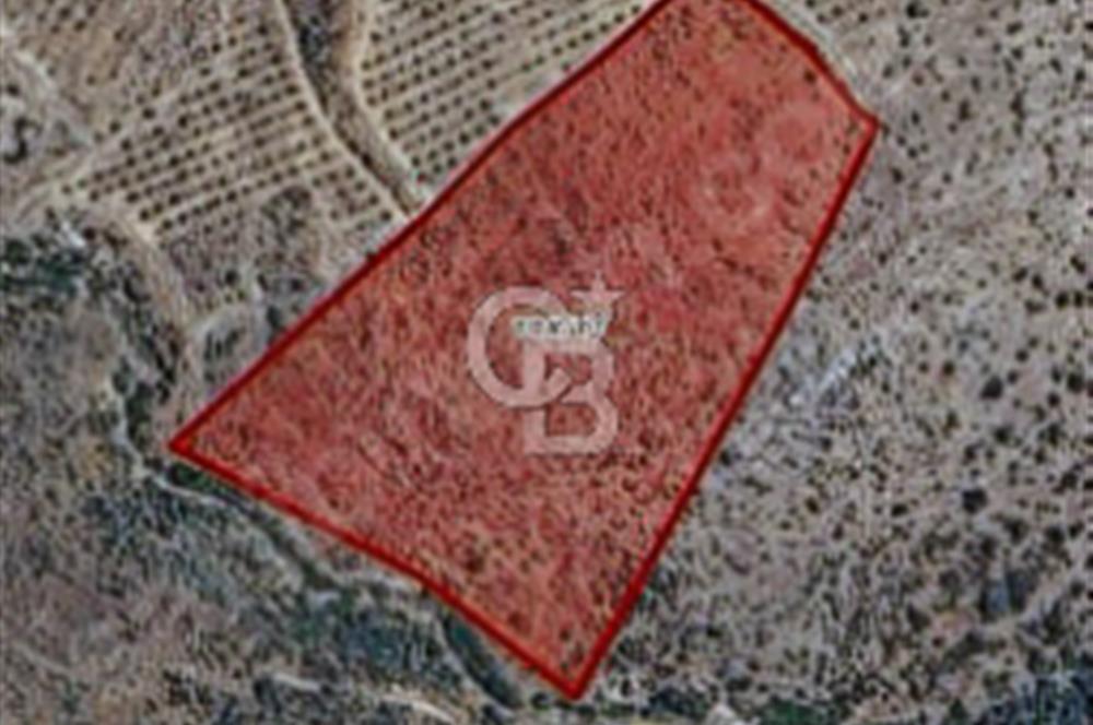 TEK TAPU 24 DÖNÜM ARAZİ