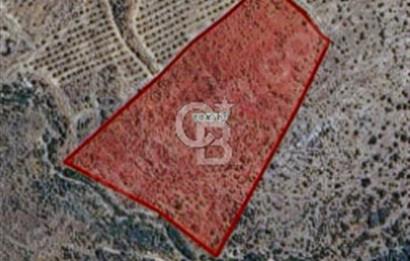 TEK TAPU 24 DÖNÜM ARAZİ