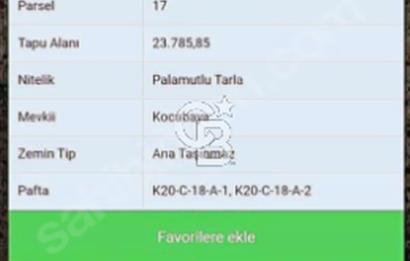 TEK TAPU 24 DÖNÜM ARAZİ