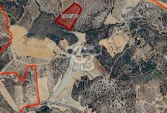 TEK TAPU 24 DÖNÜM ARAZİ - 2 - 332508