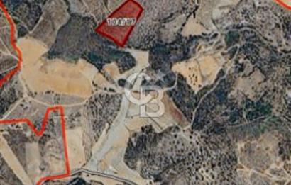 TEK TAPU 24 DÖNÜM ARAZİ