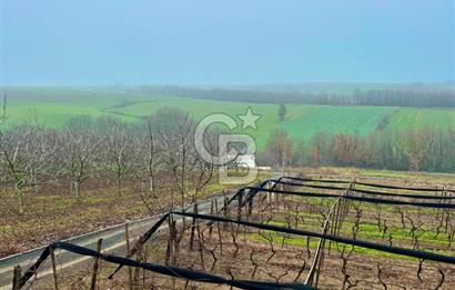 TEKİRDAĞ SÜLEYMANPAŞA KARACAKILAVUZ'DA YATIRIMLIK TARLA