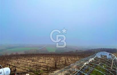 TEKİRDAĞ SÜLEYMANPAŞA KARACAKILAVUZ'DA YATIRIMLIK TARLA