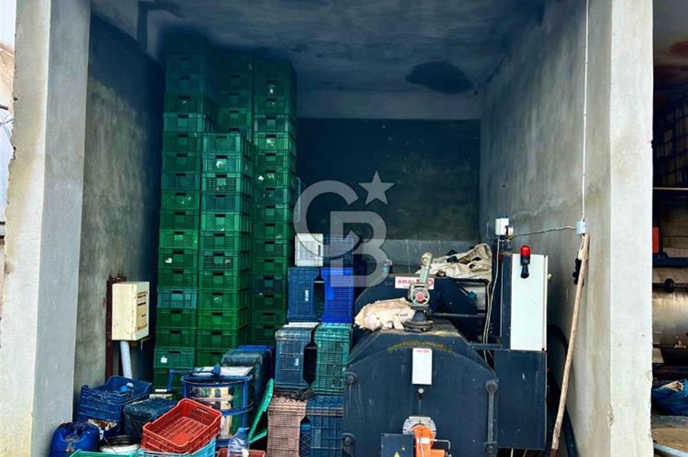 TEKİRDAĞ SÜLEYMANPAŞA KARACAKILAVUZ'DA YATIRIMLIK TARLA