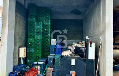 TEKİRDAĞ SÜLEYMANPAŞA KARACAKILAVUZ'DA YATIRIMLIK TARLA