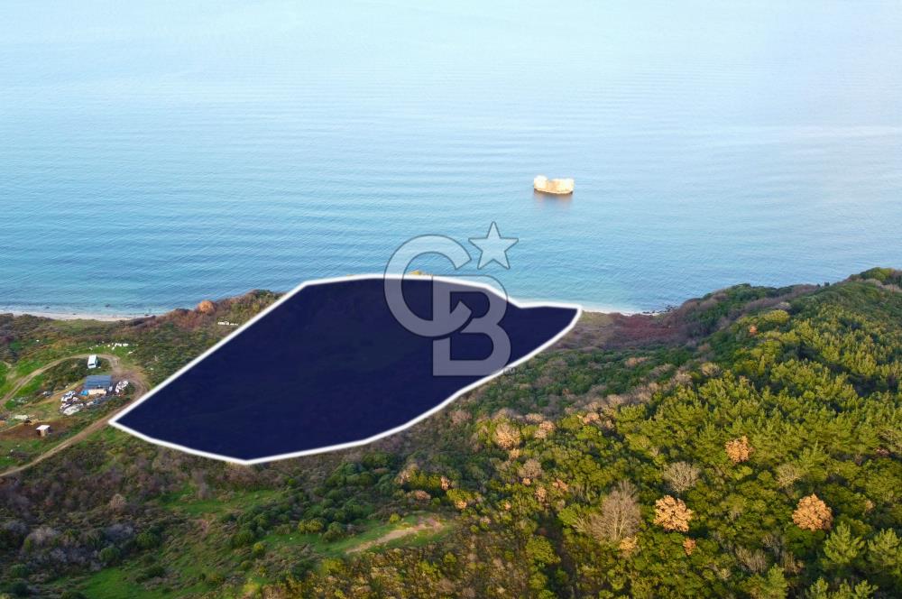 Çanakkale Lapseki'de Resmi Yolu Olan Denize Sıfır 18.796m² Arazi