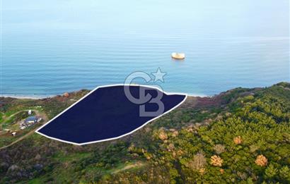 Çanakkale Lapseki'de Resmi Yolu Olan Denize Sıfır 18.796m² Arazi