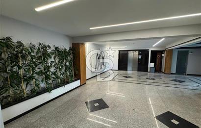 KOYUNDERE ERKAYA LİFE SATILIK3+1