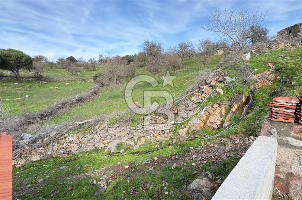 ÇANAKKALE AYVACIK AHMETLER'DE MÜSTAKİL TAŞ EV