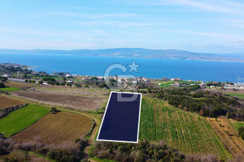 Çanakkale Lapseki Suluca 4.381m² Ana Yola Yakın Manzaralı Tarla