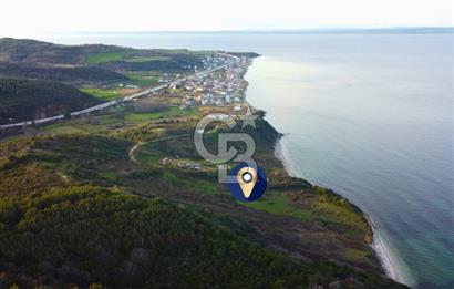 Çanakkale Lapseki'de Resmi Yolu Olan Denize Sıfır 18.796m² Arazi