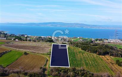 Çanakkale Lapseki Suluca 4.381m² Ana Yola Yakın Manzaralı Tarla