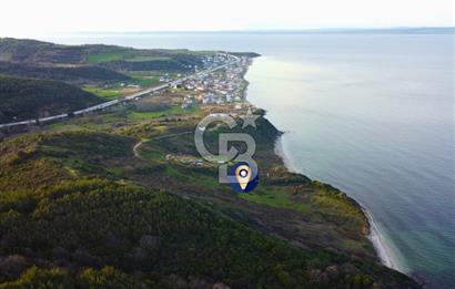 Çanakkale Lapseki'de Resmi Yolu Olan Denize Sıfır 18.796m² Arazi