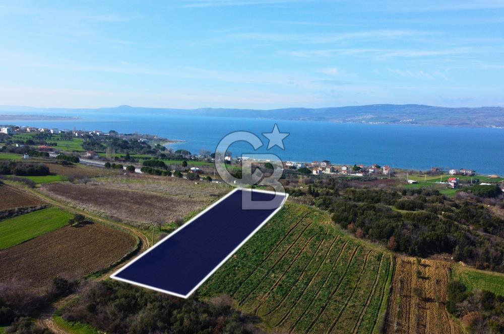 Çanakkale Lapseki Suluca 4.381m² Ana Yola Yakın Manzaralı Tarla