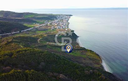 Çanakkale Lapseki'de Resmi Yolu Olan Denize Sıfır 18.796m² Arazi