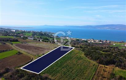 Çanakkale Lapseki Suluca 4.381m² Ana Yola Yakın Manzaralı Tarla